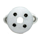 Roswell speaker adapter mounting detail