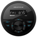 Aquatic AV GPS2 Gauge Stereo [GS620]