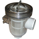 Raritan raw water strainer
