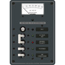 Blue Sea 8102 ELCI GFCI AC 2-position panel