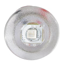 Lumitec Newt - Livewell & Courtesy Light - Red Dimming [101086] - Wholesaler Elite LLC