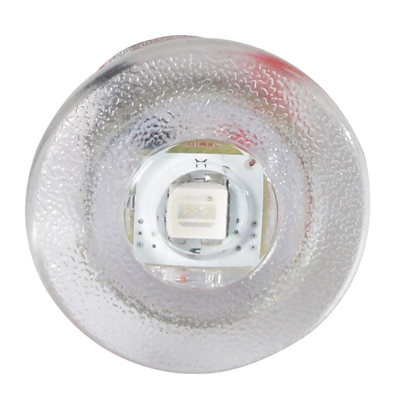 Lumitec Newt - Livewell Courtesy Light - Warm White Non-Dimming [101240] - Wholesaler Elite LLC