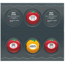 BEP Battery Management Contour Connect Panel f/Twin Engines w/VSR's [CC-803N] - Wholesaler Elite LLC
