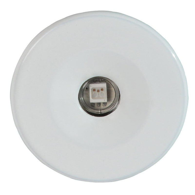 Lumitec Echo Courtesy Light - White Housing - Blue Light [112224] - Wholesaler Elite LLC