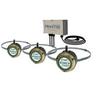 Lumitec Mantis Underwater Dock Lighting System - RGBW Full-Color [101525] - Wholesaler Elite LLC