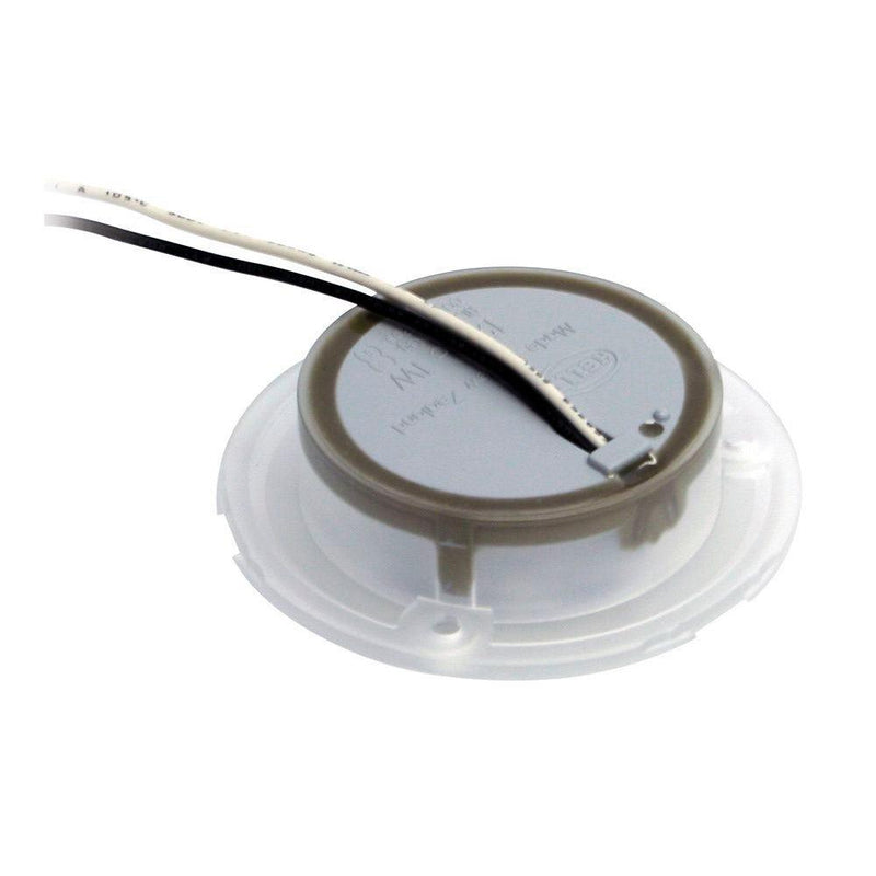 Hella Marine Polished Stainless Steel Rim LED Courtesy Lamp - Blue [980503221] - Wholesaler Elite LLC