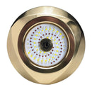 Lumitec Typhoon Underwater Bronze Thru-Hull LED Light - White/Blue [101448] - Wholesaler Elite LLC