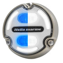 Hella Marine Apelo A2 Blue White Underwater Light - 3000 Lumens - Bronze Housing - White Lens w/Edge Light [016147-101] - Wholesaler Elite LLC
